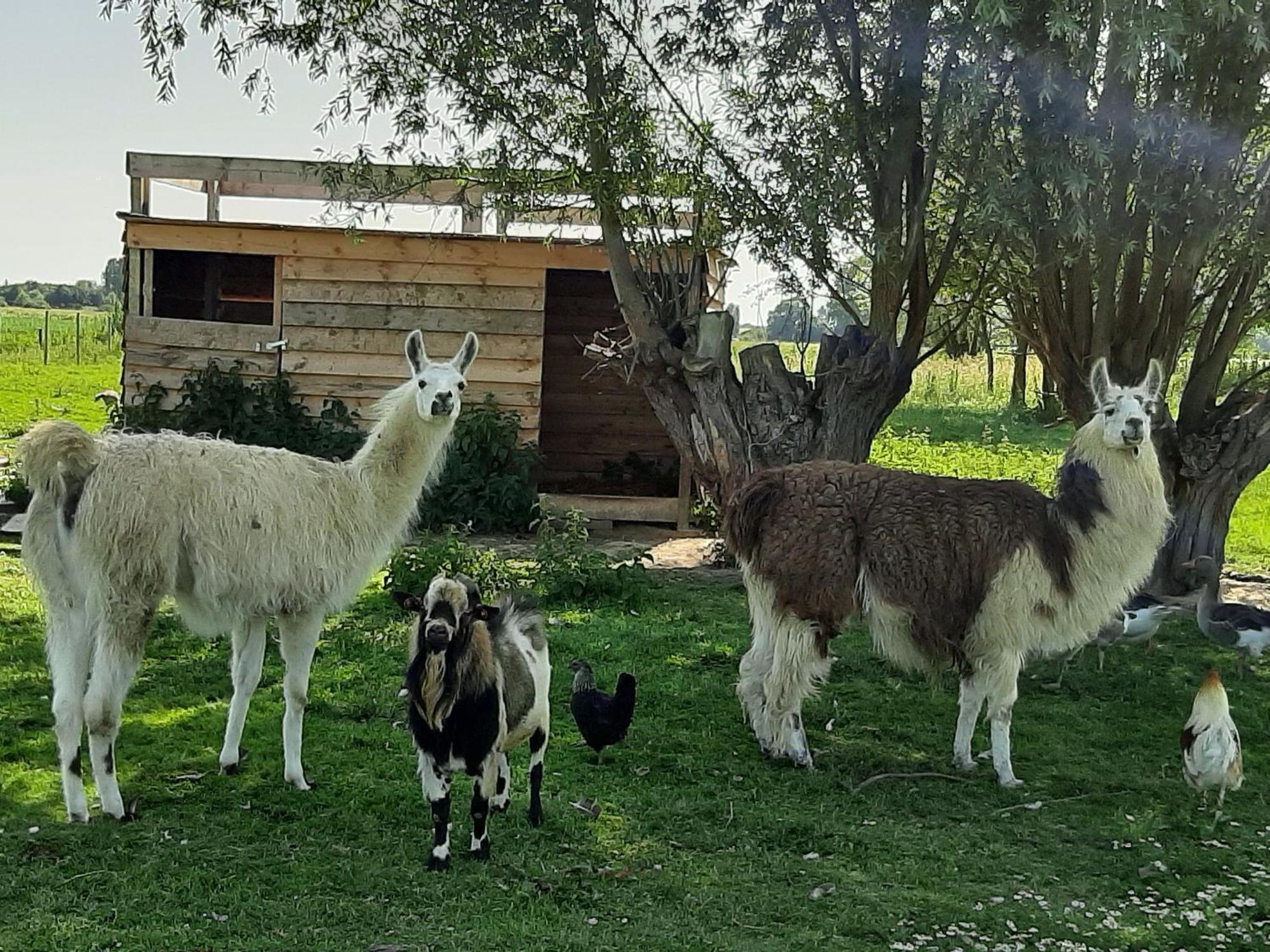 Chambre Coin Nature Fromelles Cameră foto